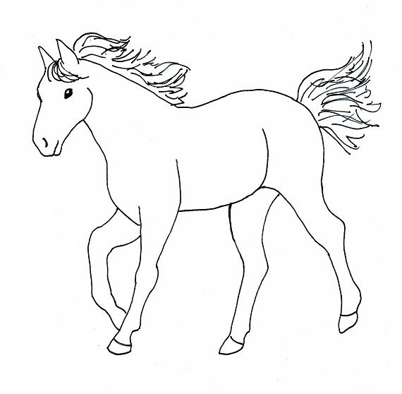 Horse Drawing Step by Step
