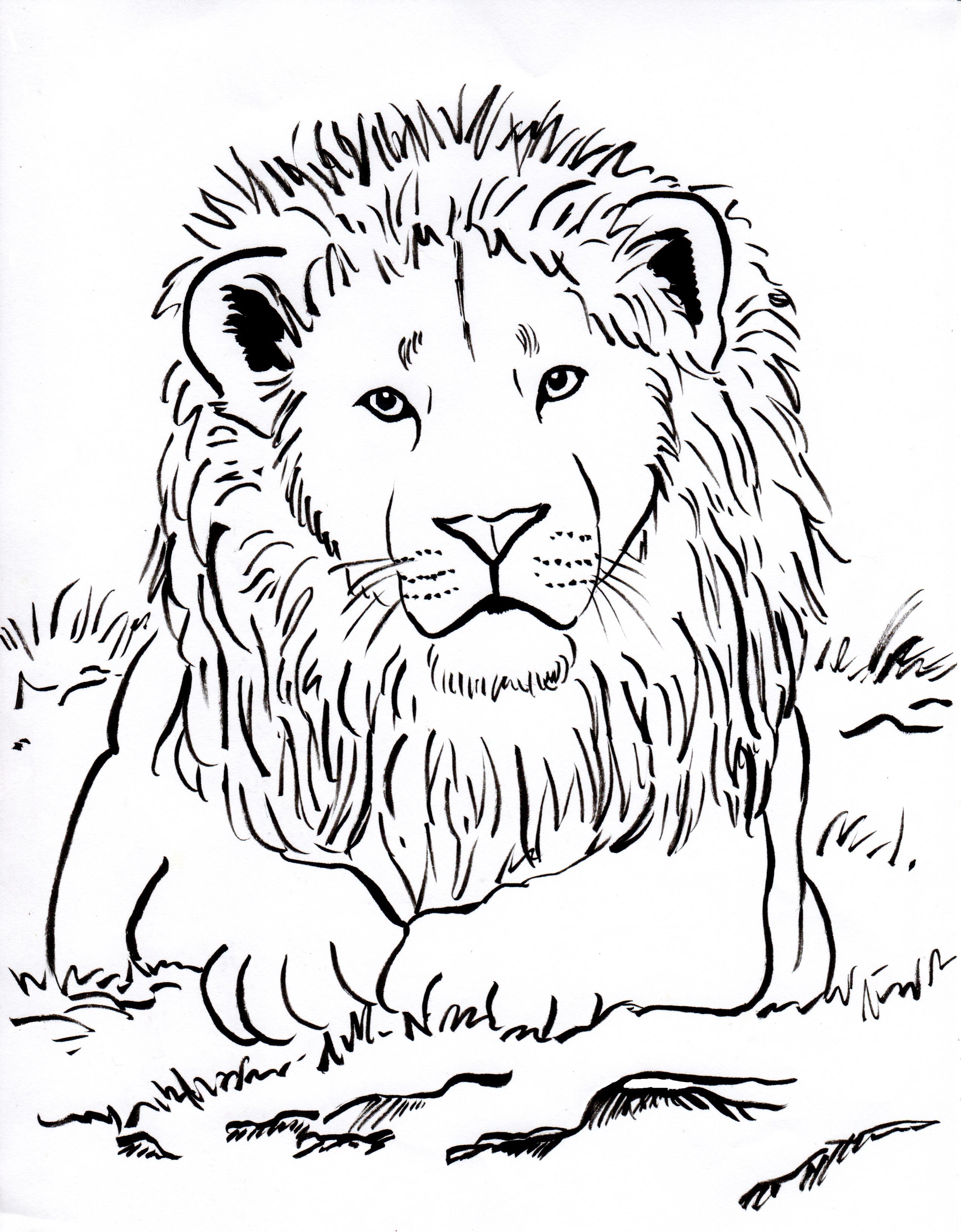 Lion Coloring Page Samantha Bell