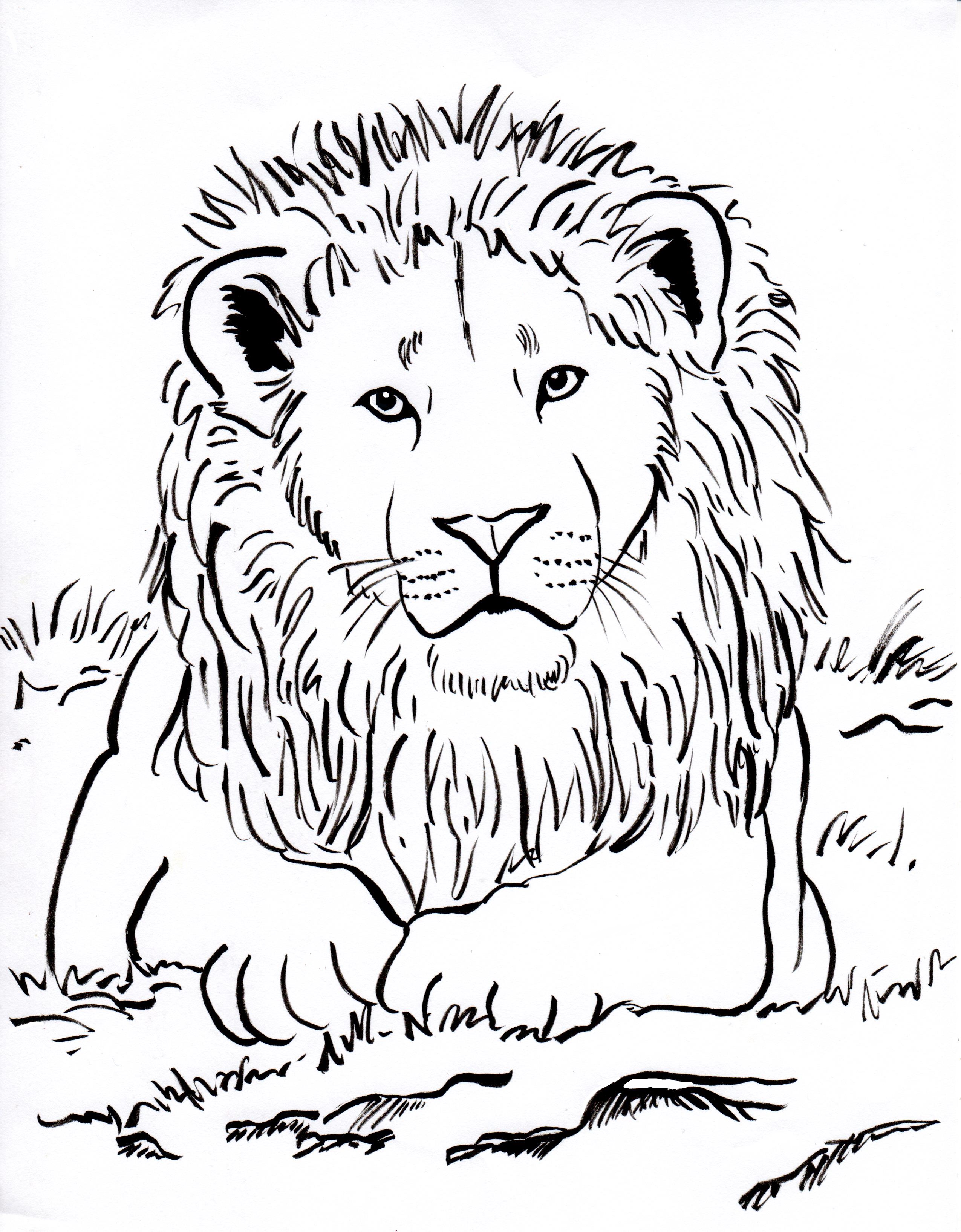 lion-coloring-page-samantha-bell