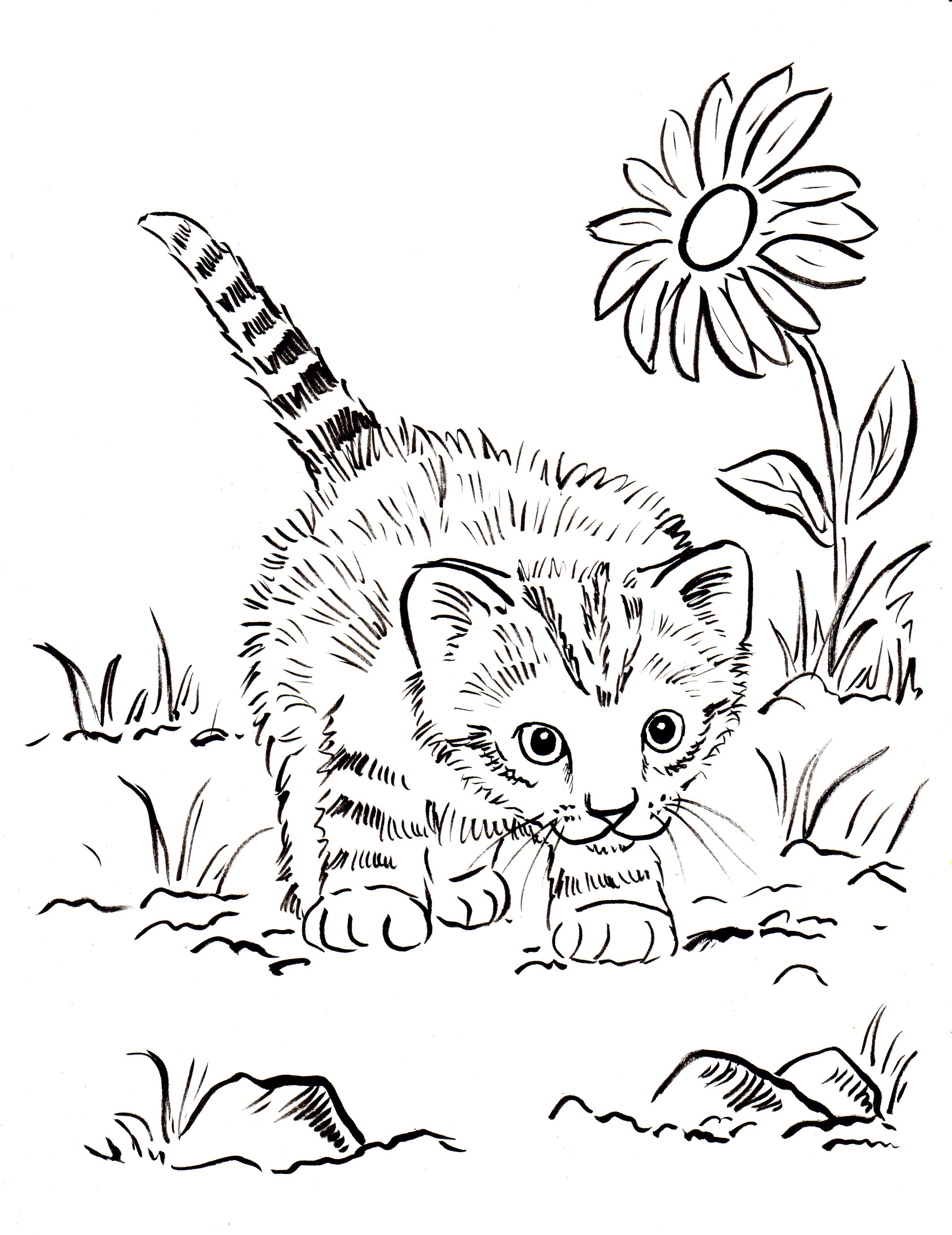 Kitten Coloring Page Samantha Bell