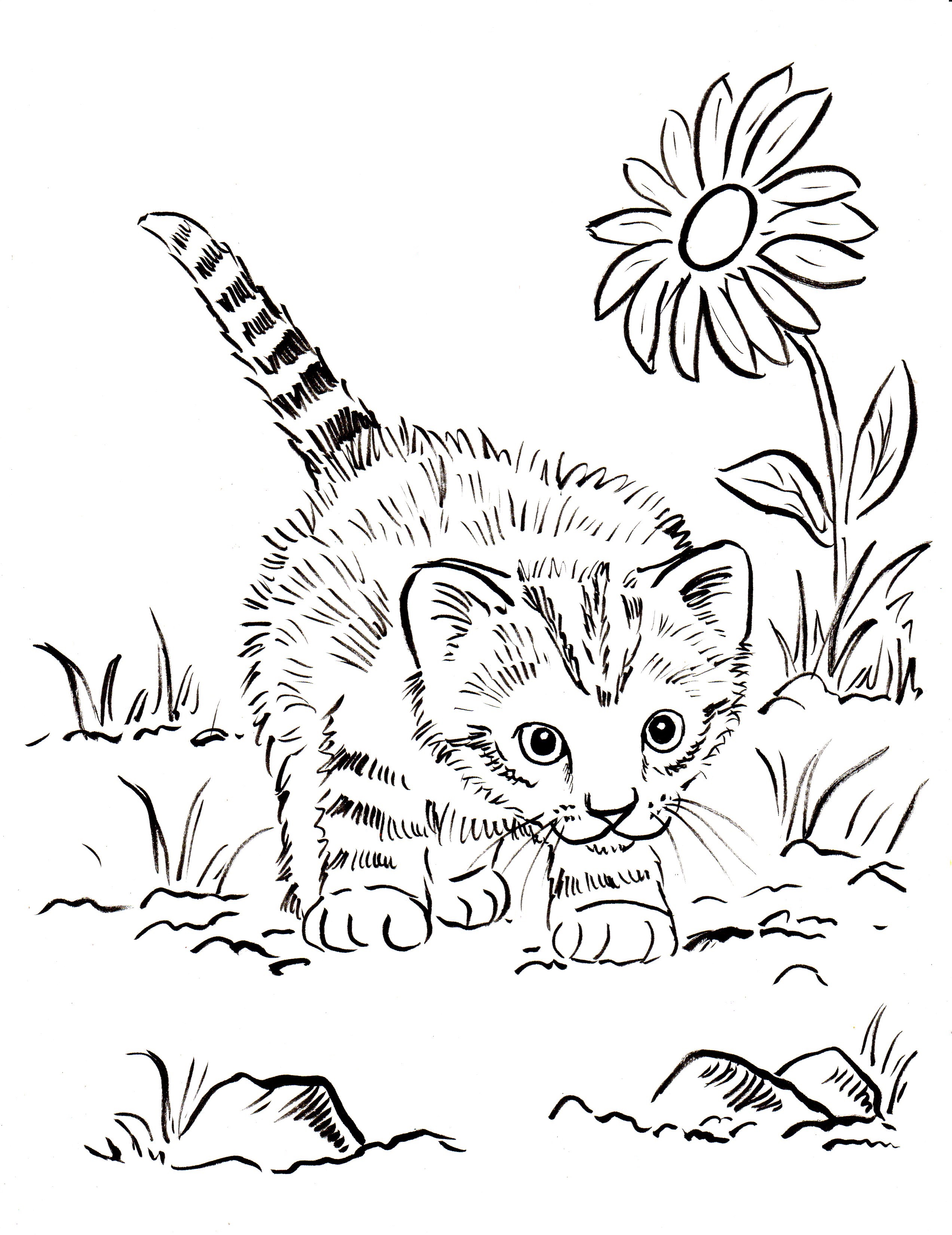 cat-free-printable-coloring-pages