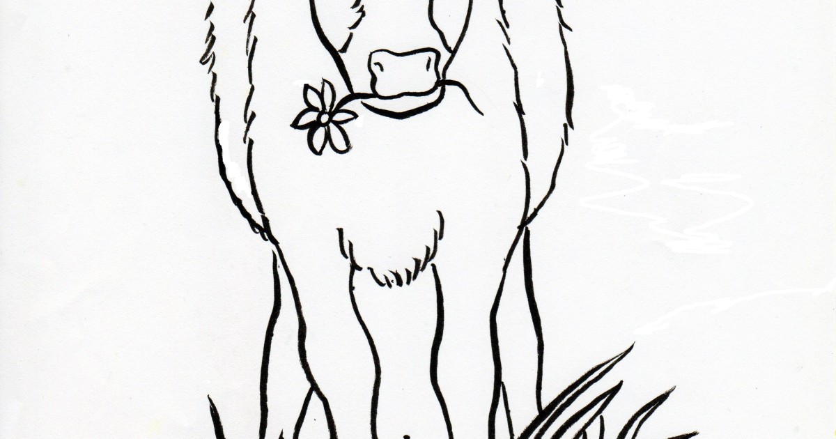 calf coloring pages - photo #34