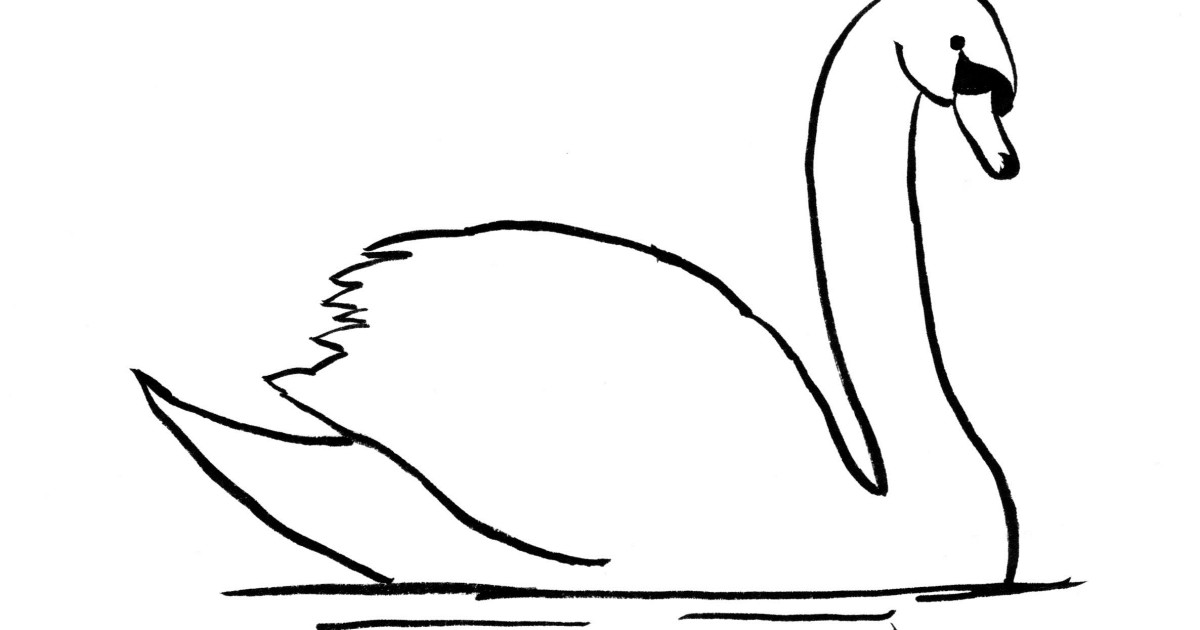 Simple Swan Drawing Sketch From Cildrens Book for Beginner