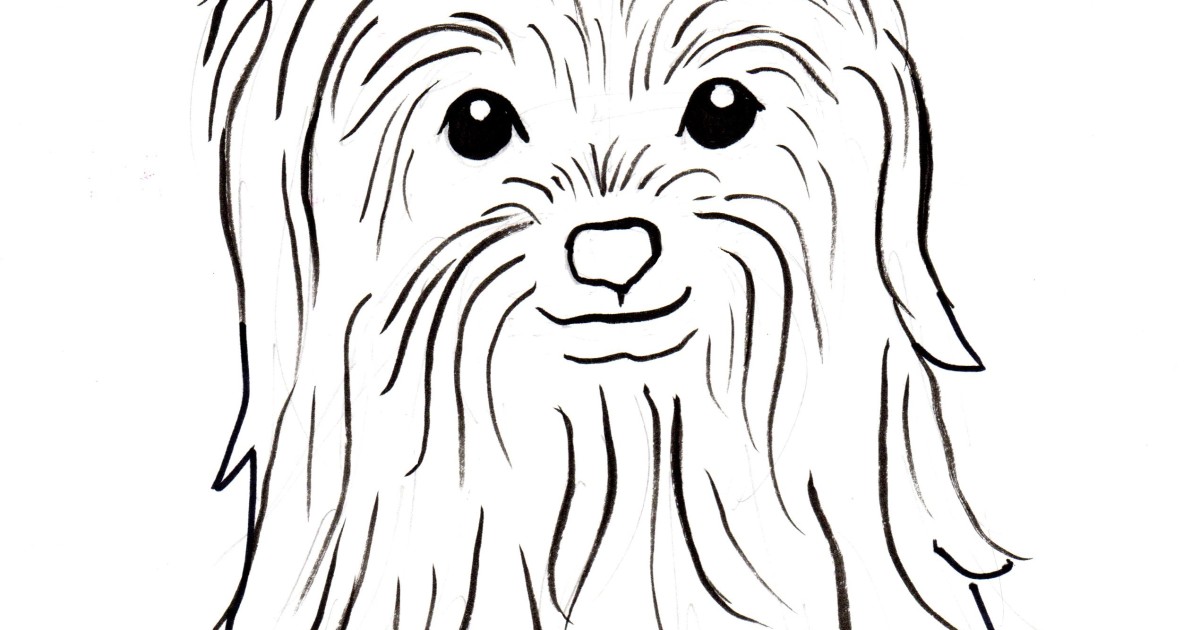 yorkie coloring pages - photo #14
