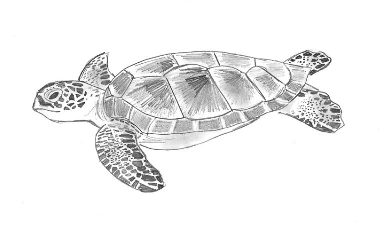 Lessons on Patreon - Art Starts for Kids