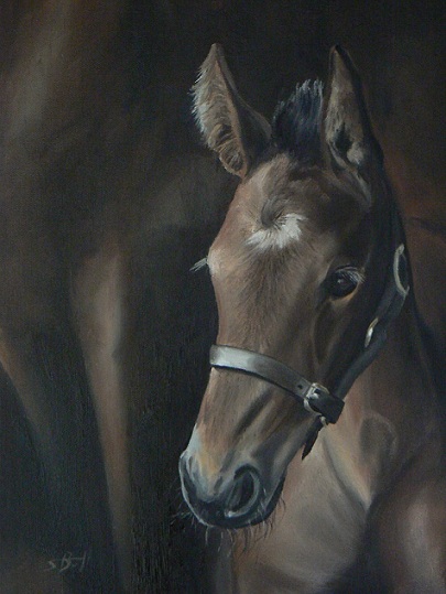 Jenny's Foal