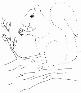 drawing with dots squirrels