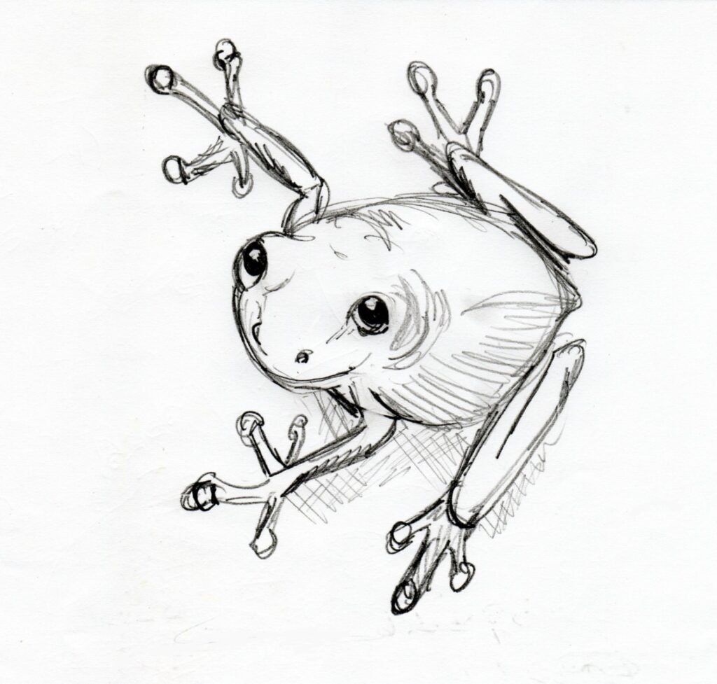 drawing erasers