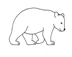 bear-drawing-1