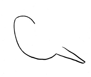 chickadee-drawing 4