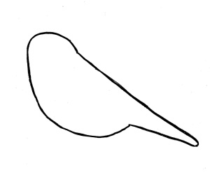 chickadee-drawing 5