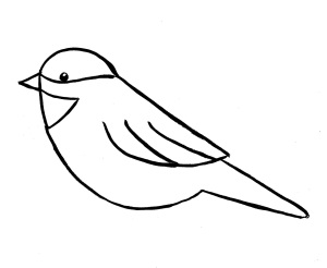 chickadee-drawing 8