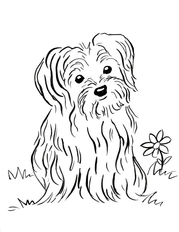 yorkie printable coloring pages - photo #27