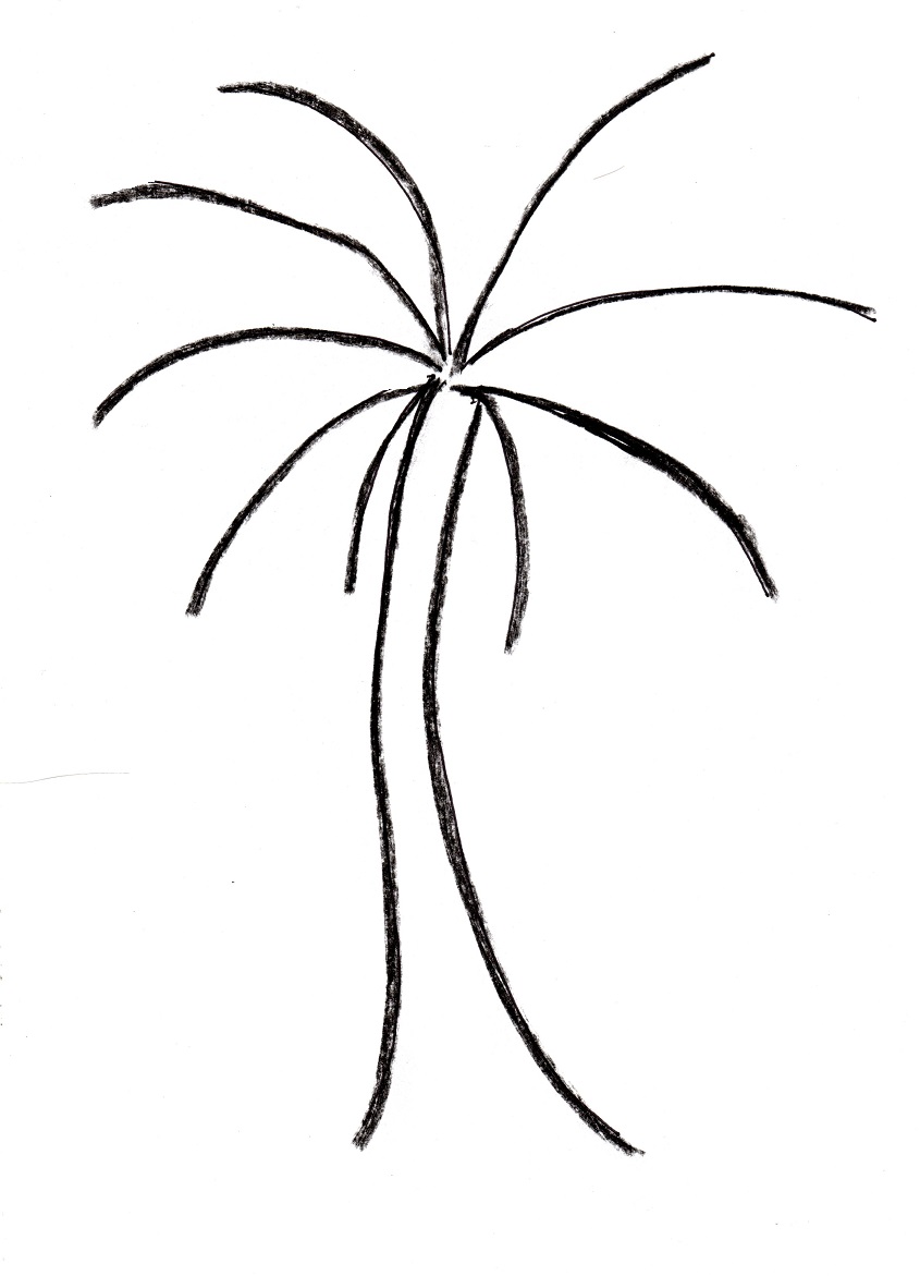 Palm Tree Drawing Art Starts For Kids