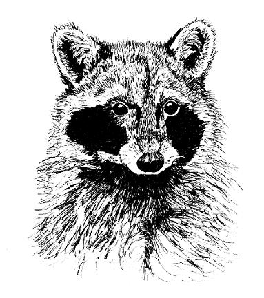 Ink Art Animals