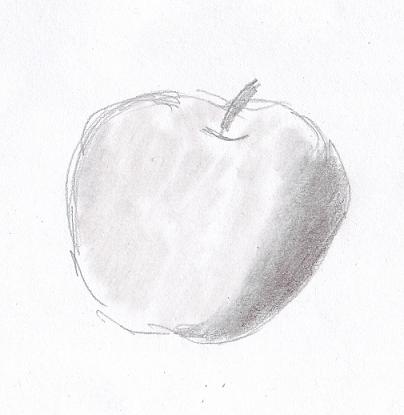 How to Draw and Shading Apple Branch with Pencil | Basic drawing, Branch  drawing, Drawings