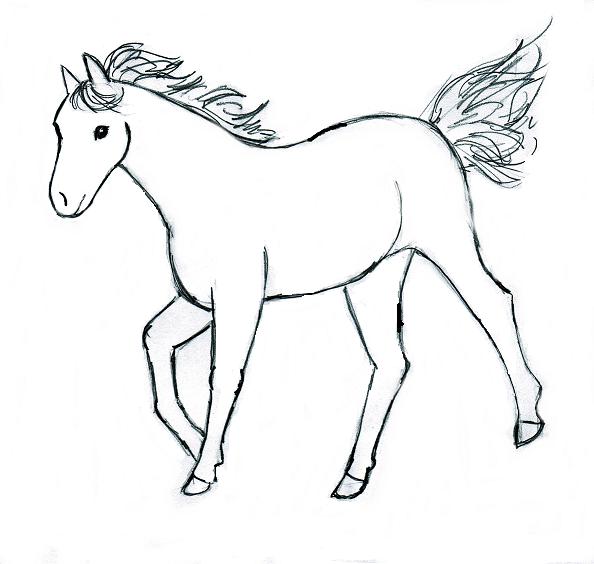 Horse Drawing Step by Step - Art Starts