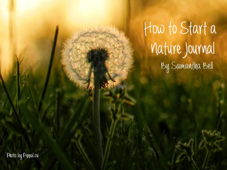 How to start a nature journal. 