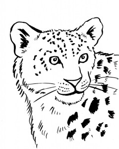 snow-leopard-coloring-page