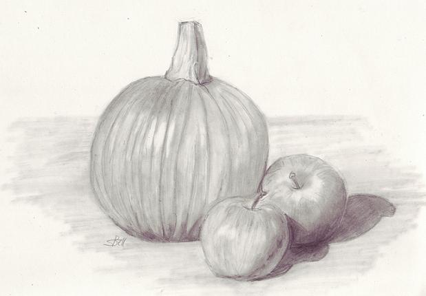 Drawing a Still Life - Art Starts