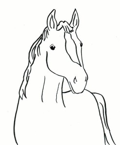 horse-coloring-page4