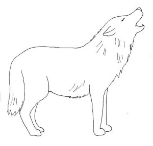 wolf-drawing