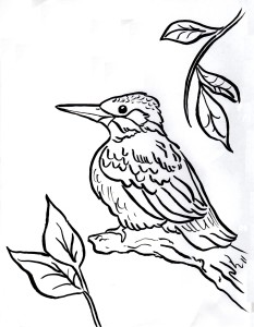 Kingfisher coloring page 2