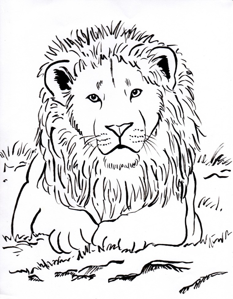 Lion Coloring Page Art Starts
