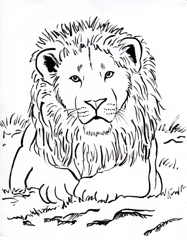 lion coloring page 001