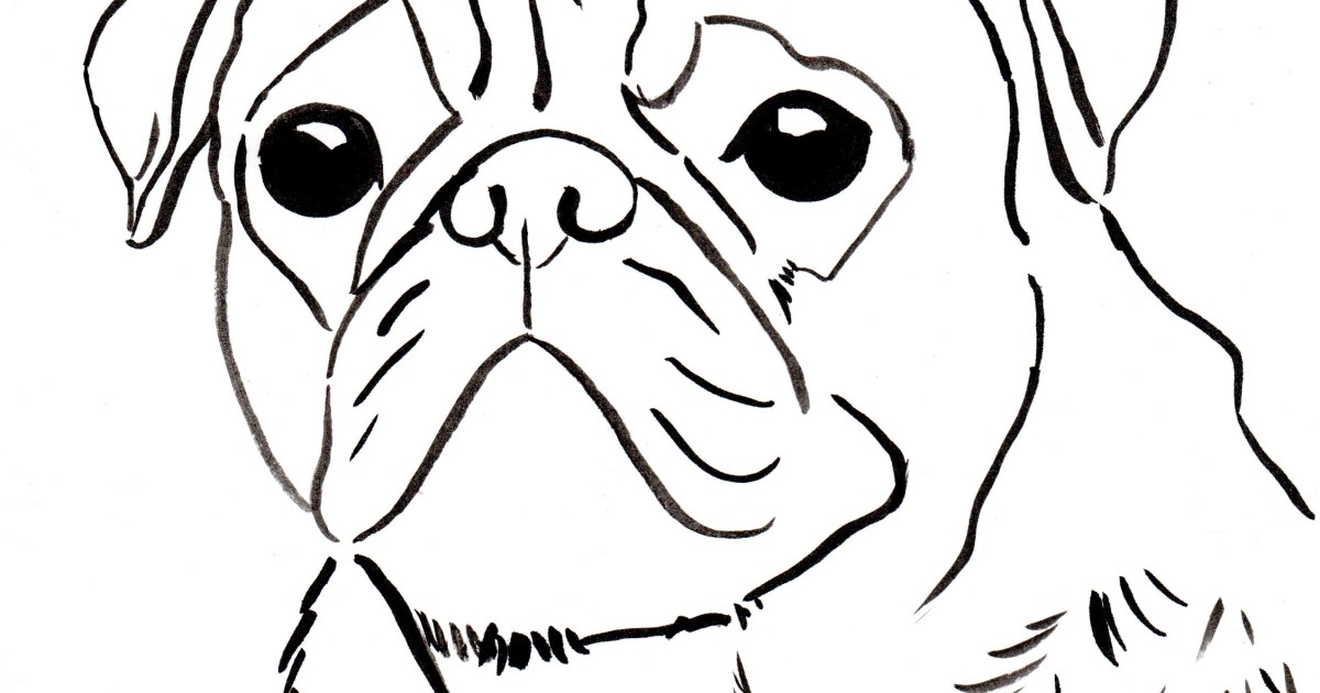 pug-coloring-page-art-starts