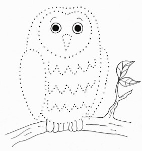 dotsowl