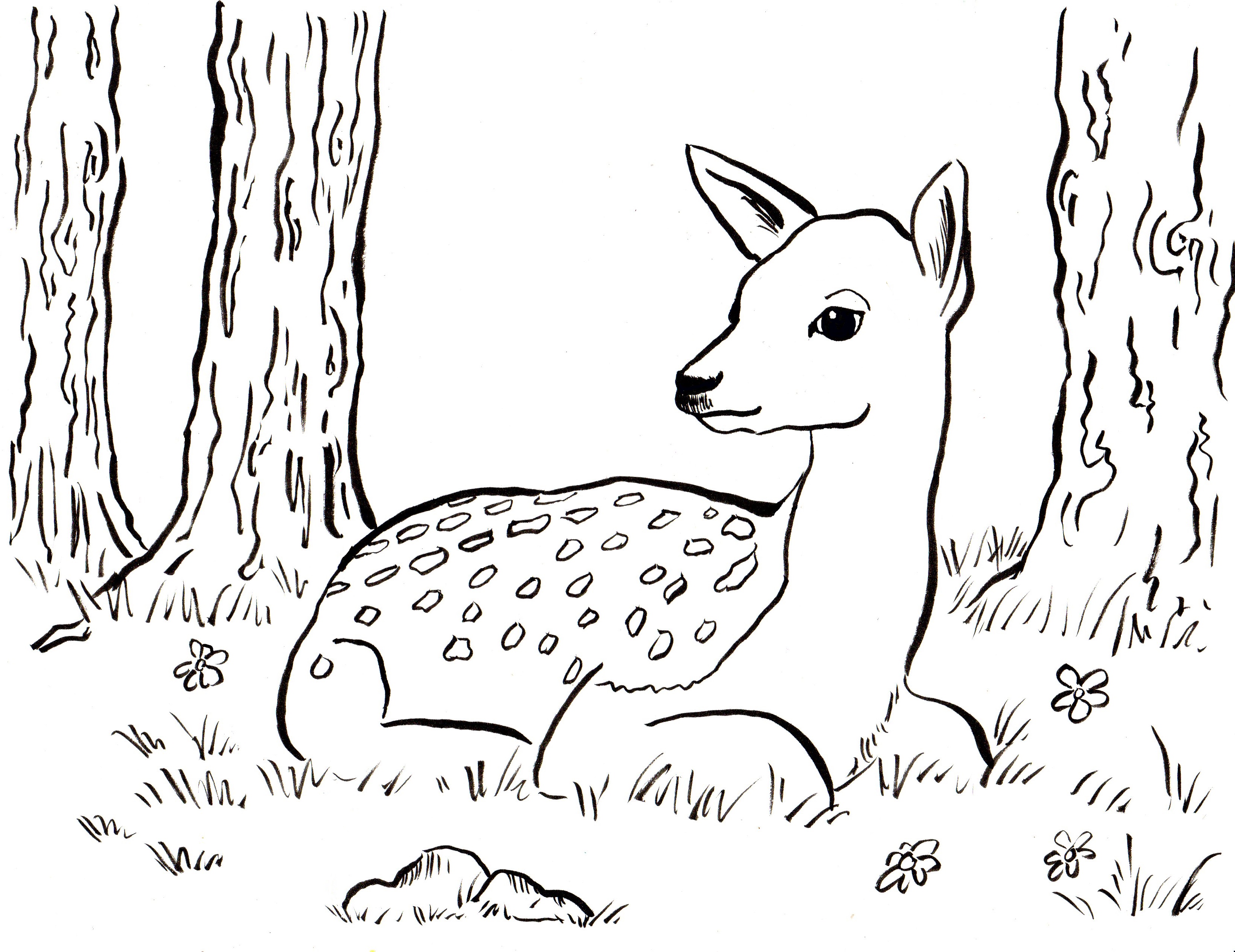 2 B&W baby deer files for print and for drawing woodland instant download Original fawn printable outline drawing for nursery wall decor