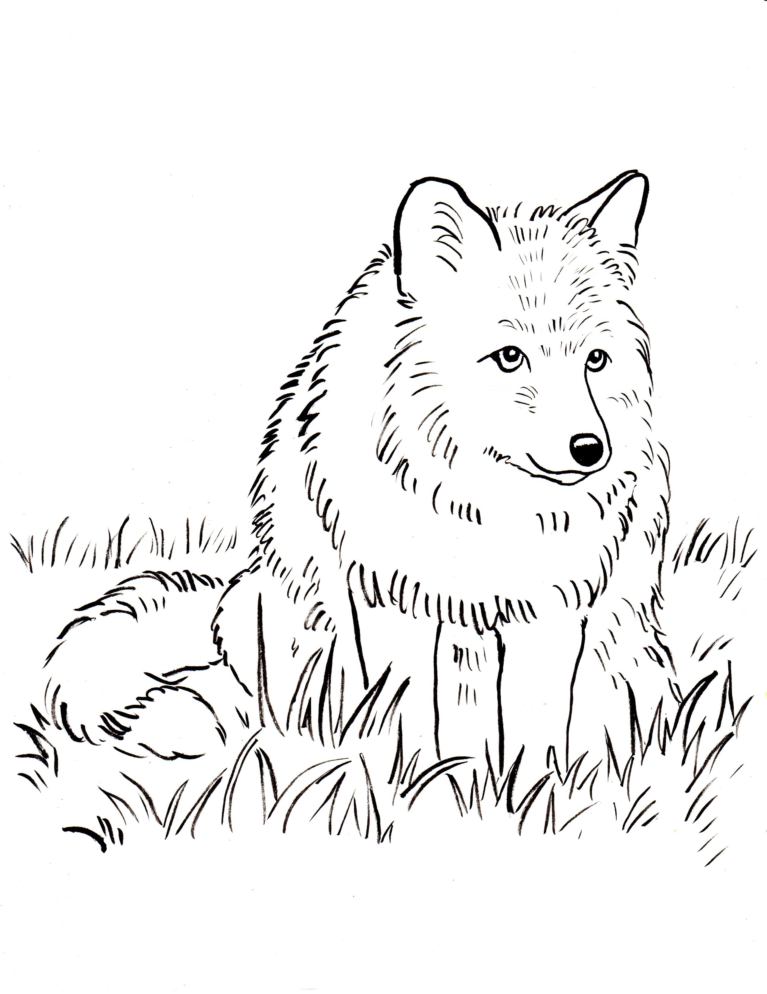 realistic fox coloring pages