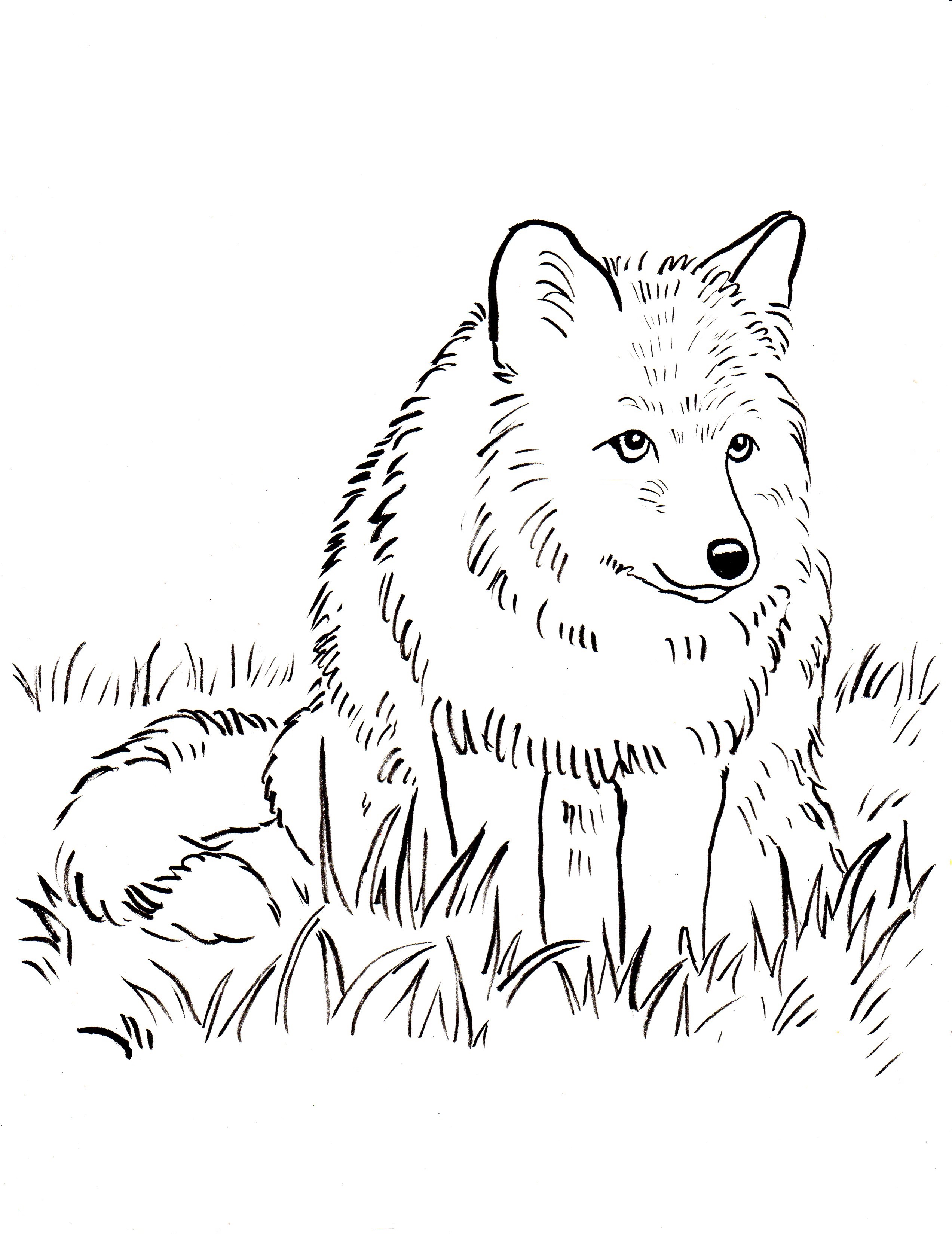 Fox Coloring Page Art Starts