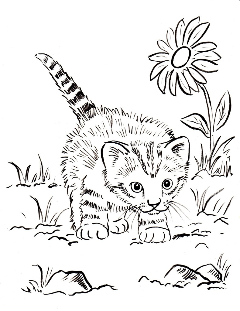 Kitten Coloring Page - Art Starts for Kids