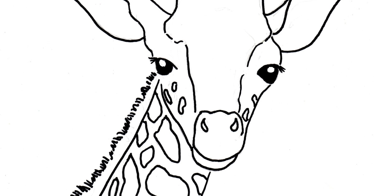 Download Baby Giraffe Coloring Page - Samantha Bell