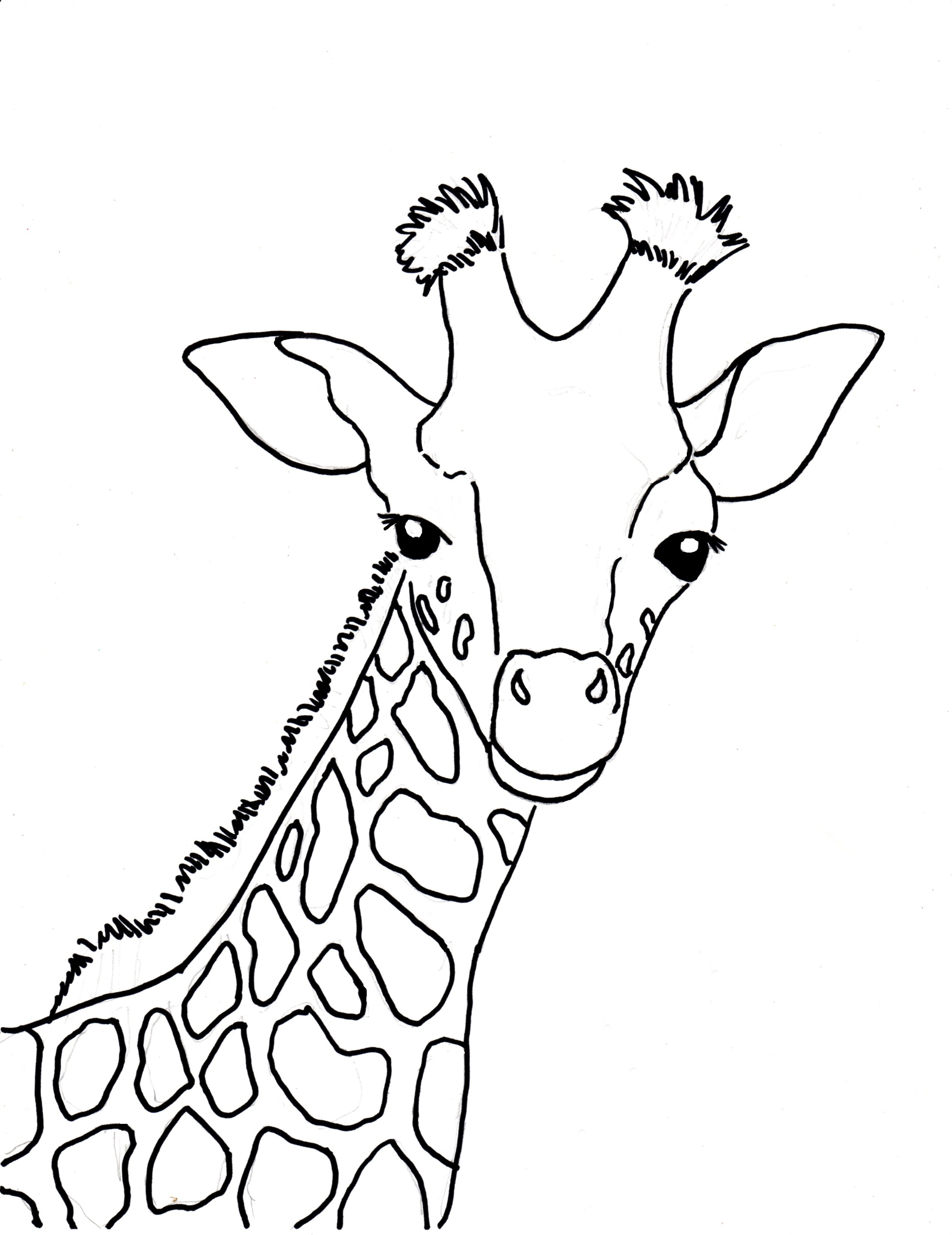 Baby Giraffe Coloring Page - Art Starts