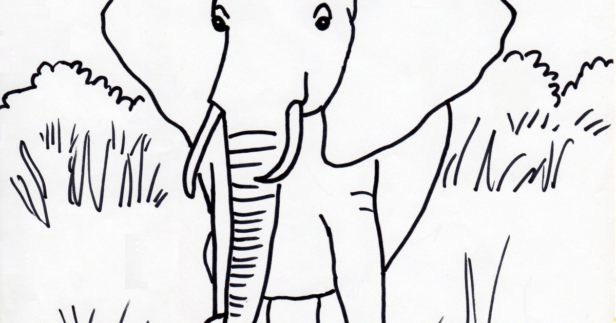 African Elephant Coloring Page - Art Starts