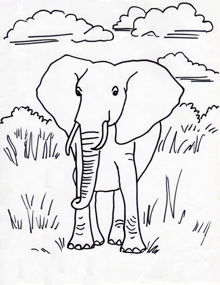 Download African Elephant Coloring Page - Art Starts