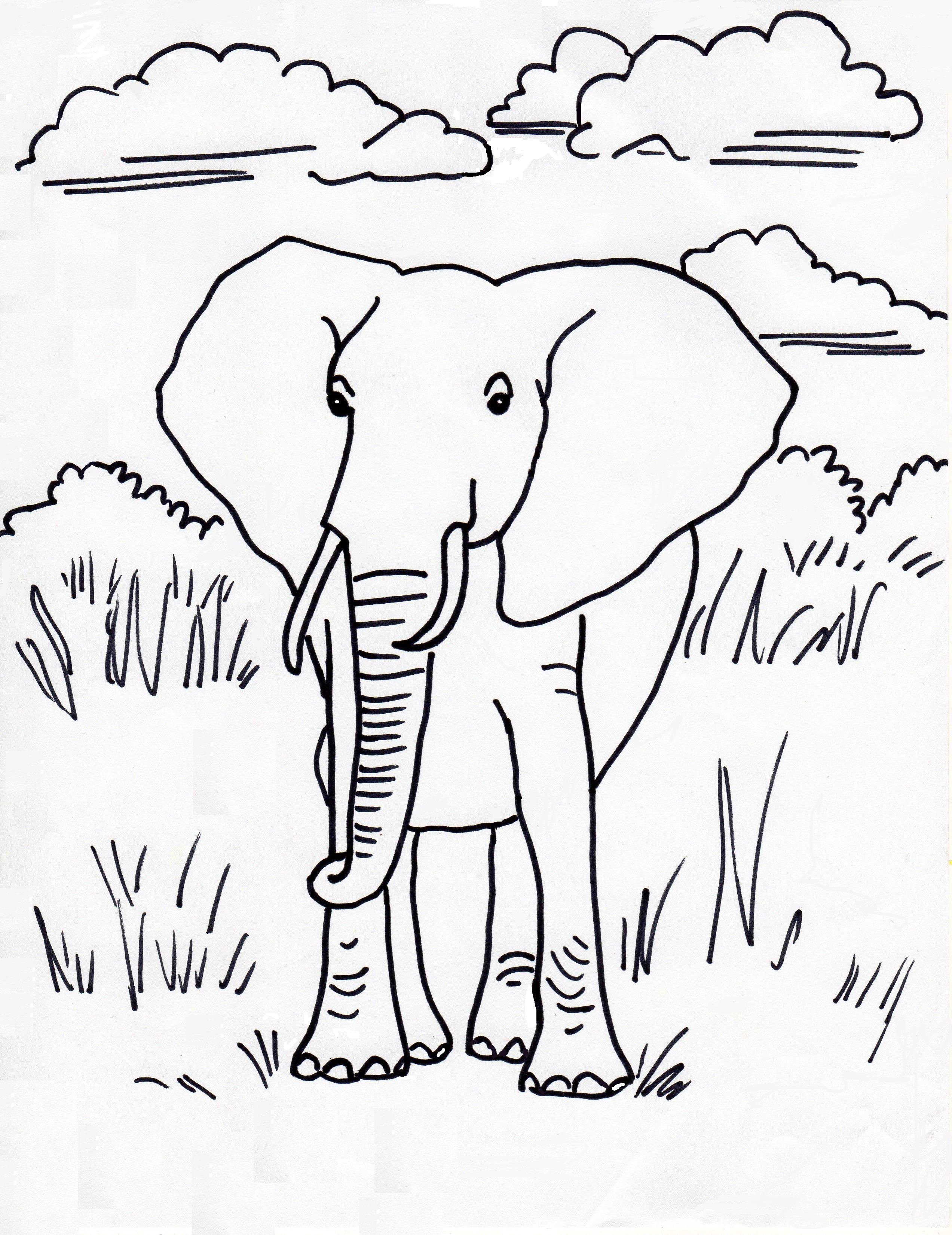 elephant coloring page