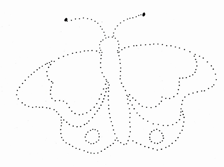 butterfly dot drawing 760x567