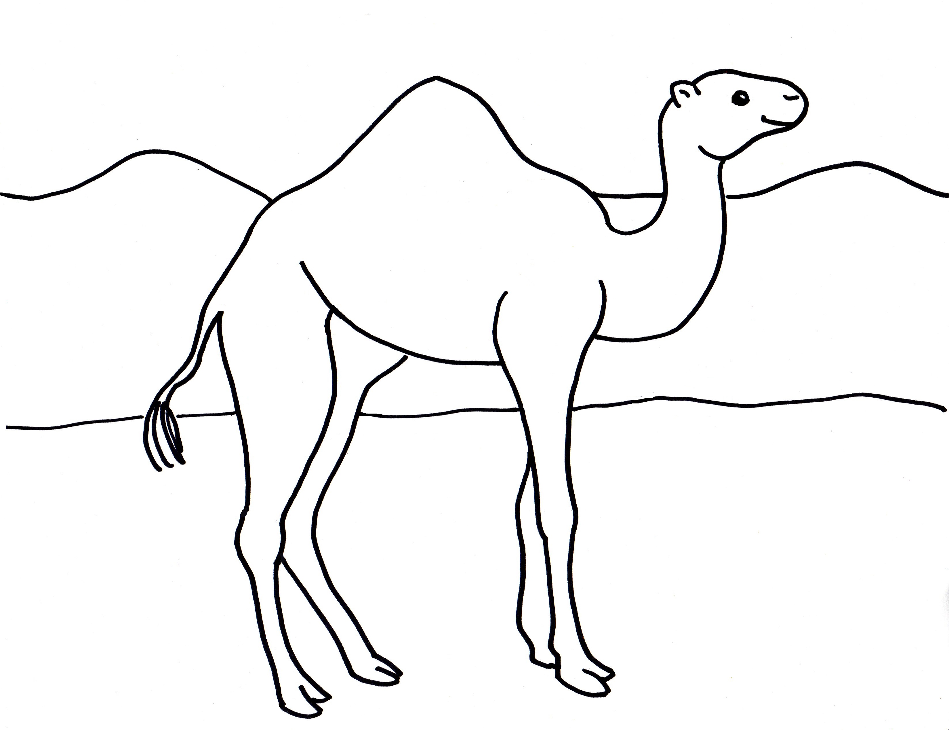 Camel Coloring Page Art Starts