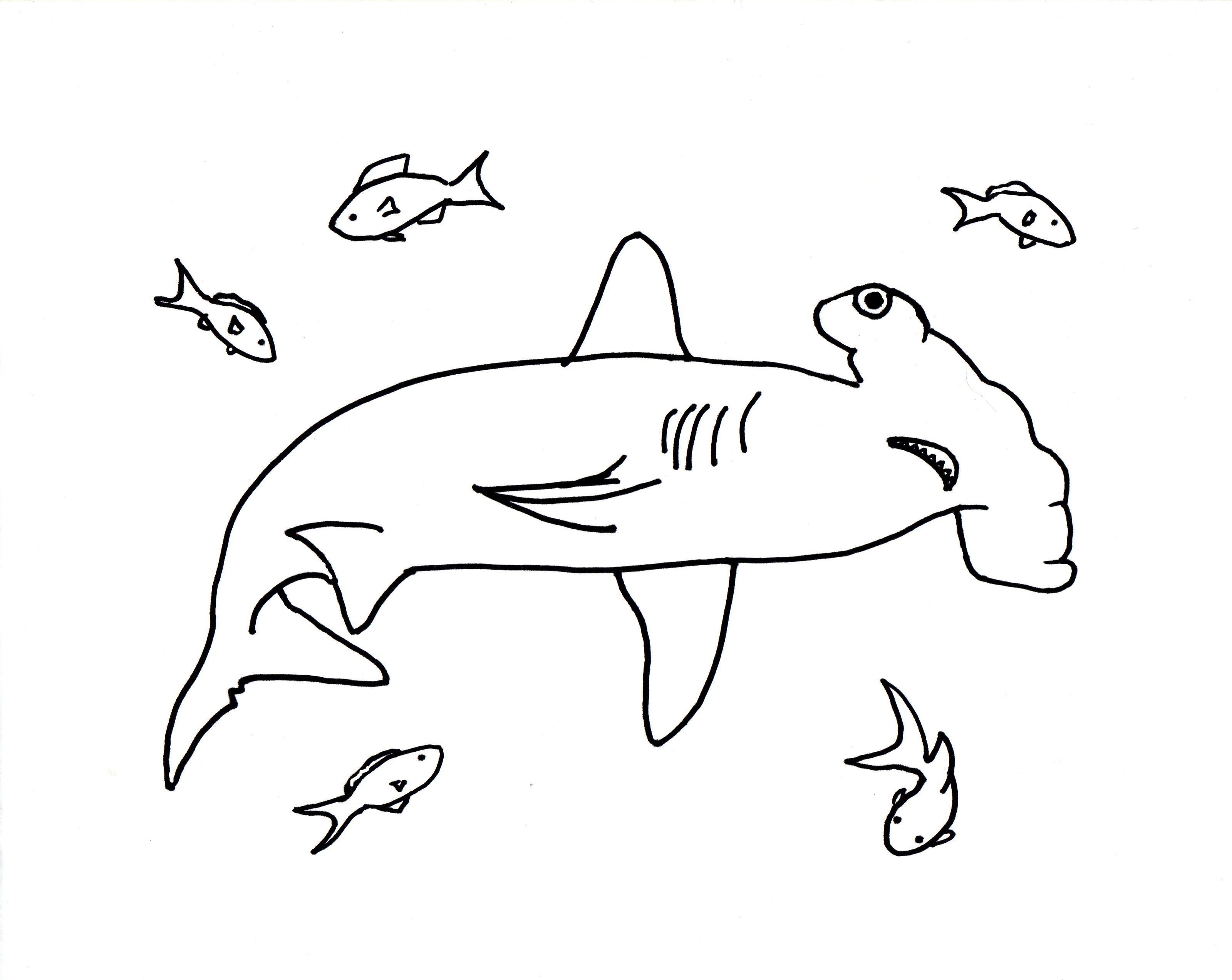 Hammerhead Shark Coloring Page - Art Starts for Kids