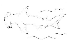 hammerhead shark dot drawing