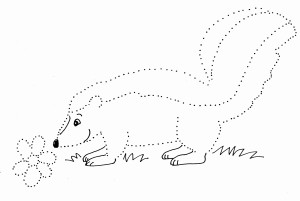 skunk dot drawing