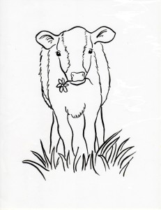 calf coloing page