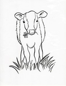 calf coloing page