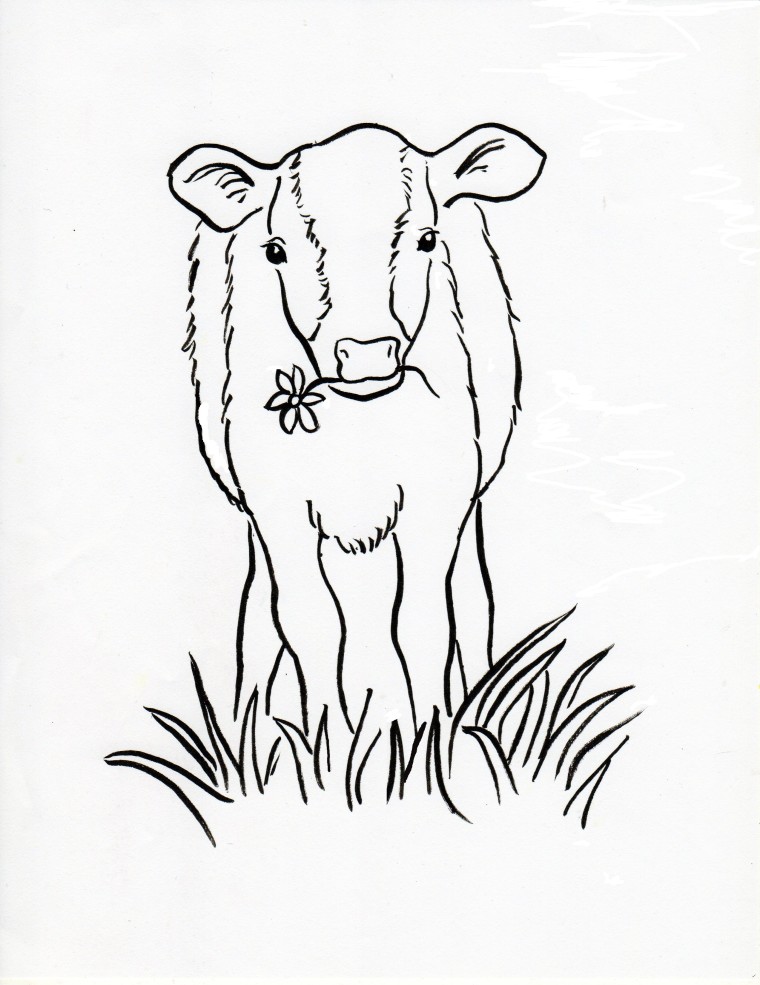 Calf Coloring Page - Art Starts