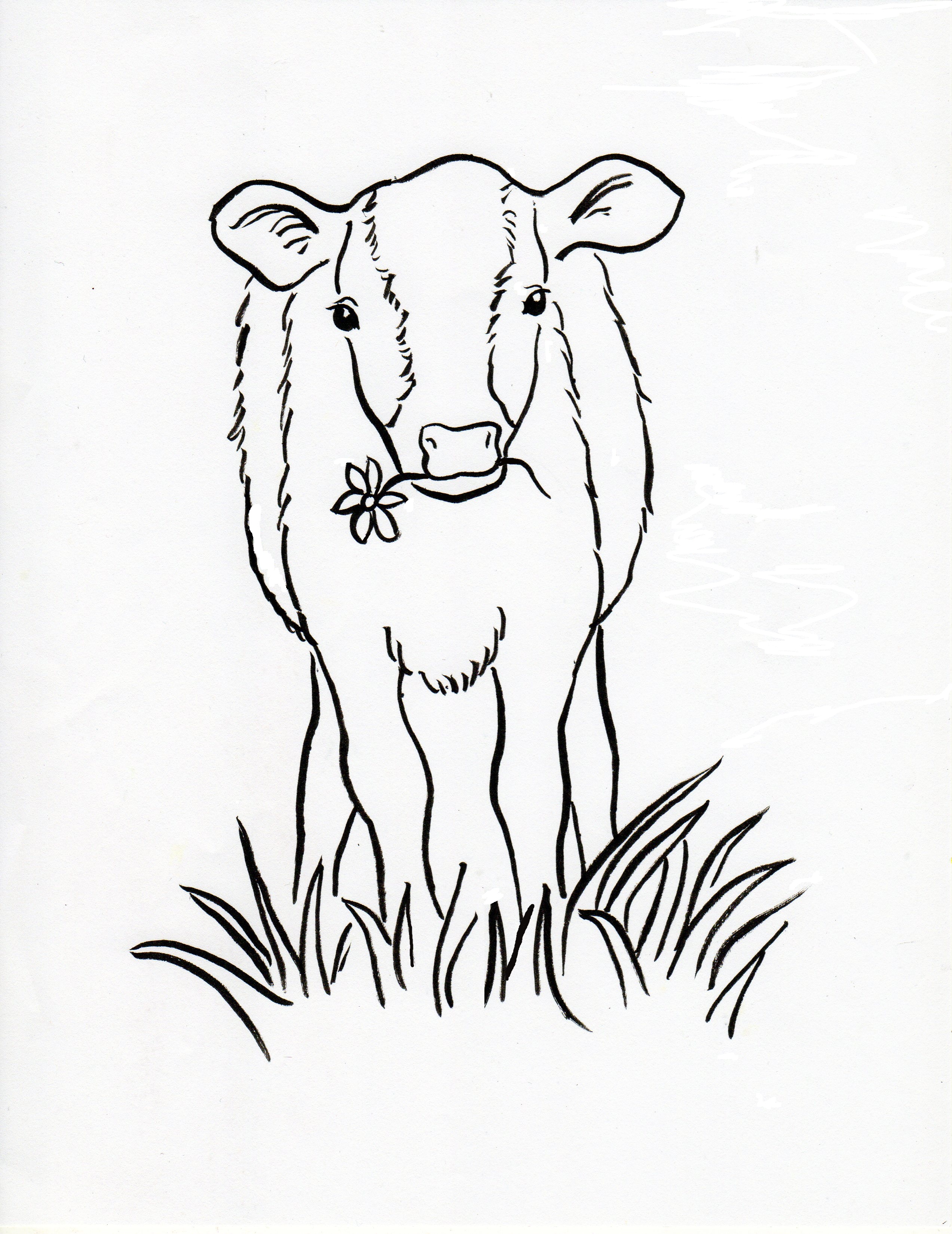 Calf Coloring Page - Samantha Bell