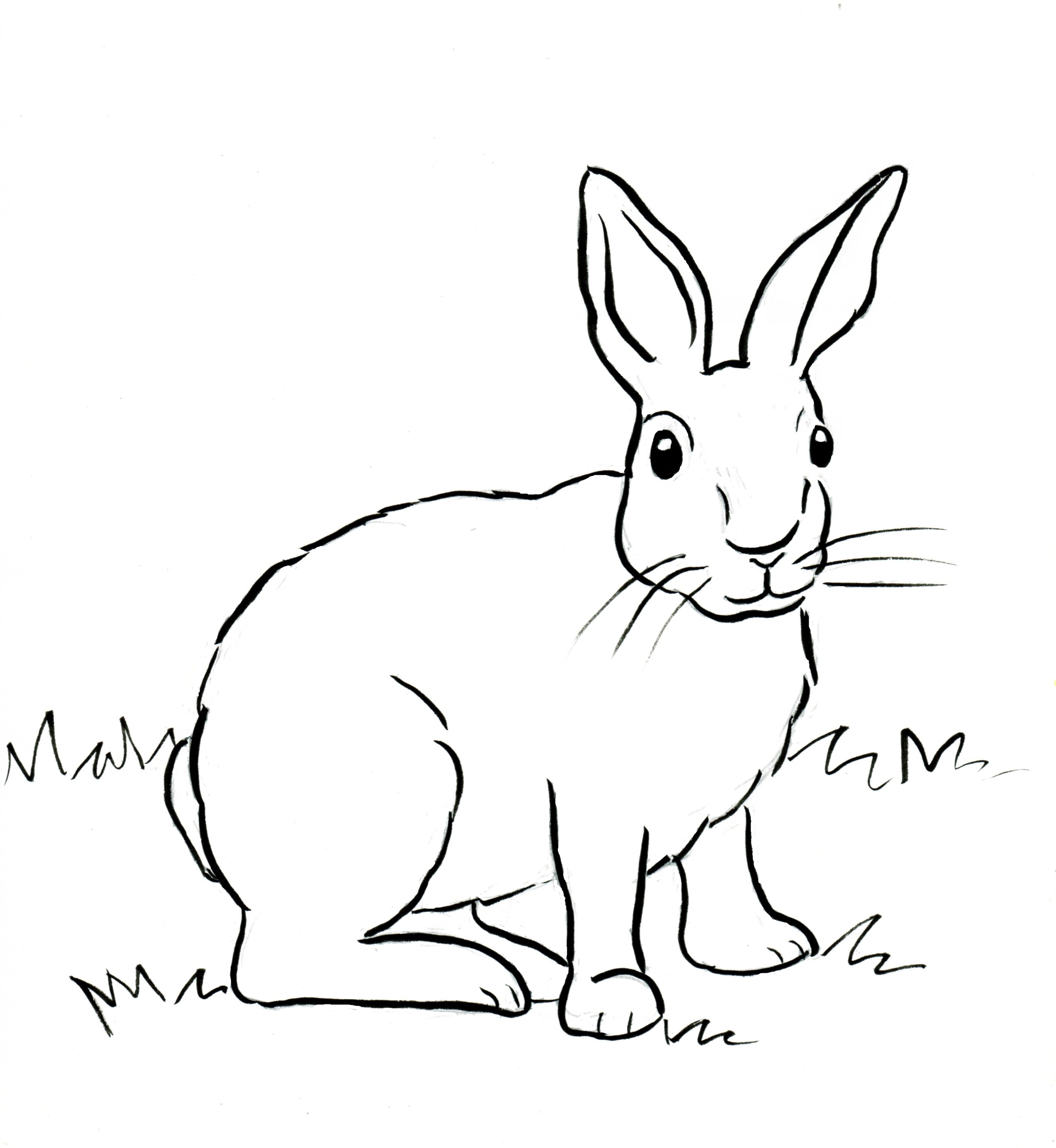 Free Printable Bunny Coloring Pages Printable Word Searches rabbit-coloring-pages-coloring-home